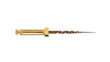 File Protaper (Maillefer) Gold Sterile 21mm Assorted Sx/F3 x 6