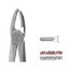 Forceps No.113 (Unodent) Upper Roots Martin A/C x 1