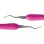 Scaler Flexichange (Dentsply) Ash Wonderhoe Pink x 1