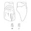Crown Forms Clear (Odus Pella) Canines Xl 33 x 1 Pair