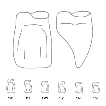 Crown Forms Clear (Odus Pella) Central Cervical Part Enlarged 121 x 1 Pair