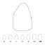 Crown Polycarbonate (Unodent) Upper Central Incisors Left 103 x 5
