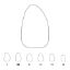 Crown Polycarbonate (Unodent) Upper Lateral Incisors Right 20 x 5