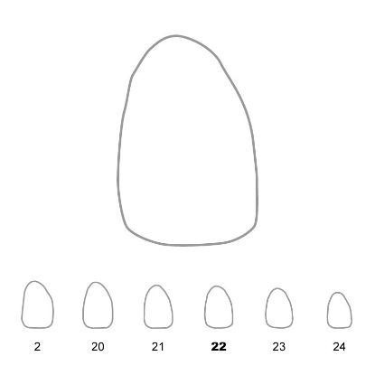 Crown Polycarbonate (Unodent) Upper Lateral Incisors Right 22 x 5