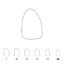 Crown Polycarbonate (Unodent) Upper Lateral Incisors Right 24 x 5