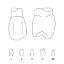 Crown Forms Clear (Unodent) Bi-Cuspids Right 24 x 5