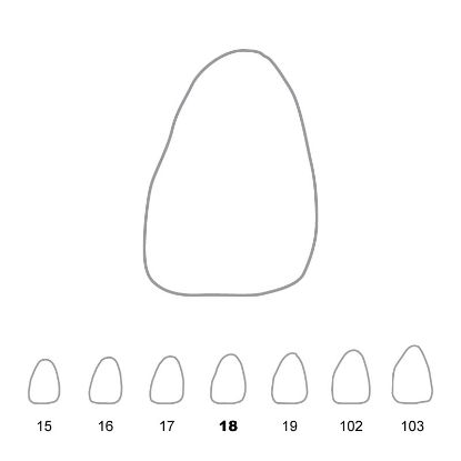 Crown Polycarbonate (Directa) Upper Central Incisors Left 18 x 5