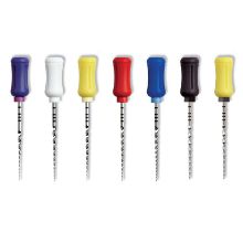 File Protaper (Maillefer) Hand Use Sterile 31mm Size S1 x 6