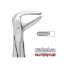 Forceps No.74 (Unodent) Premier Lower Roots Autoclavable x 1